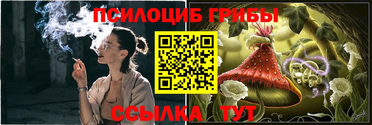 Галлюциногенные грибы Magic Shrooms Пугачёв